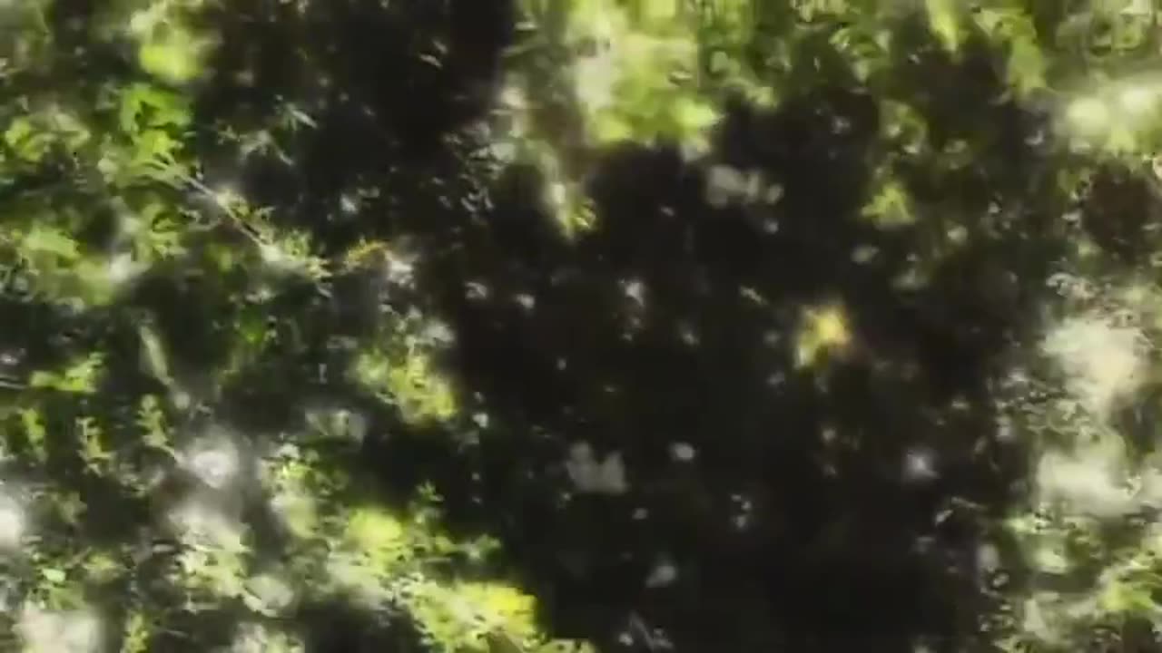 MAX IGAN_ EVERYTHING IS A LIE_ THE GREAT RESET MAY INVOLVE A 5G MUD FLOOD TO ERASE HISTORY