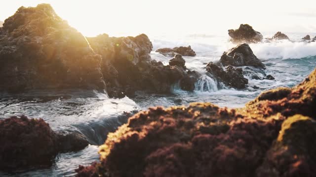 Relaxing Nature Sounds - Short Video Clips of Nature
