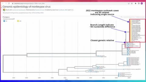 New Monkeypox Outbreak Has More Mutations "Than Would be Expected From Natural Mutagenesis"