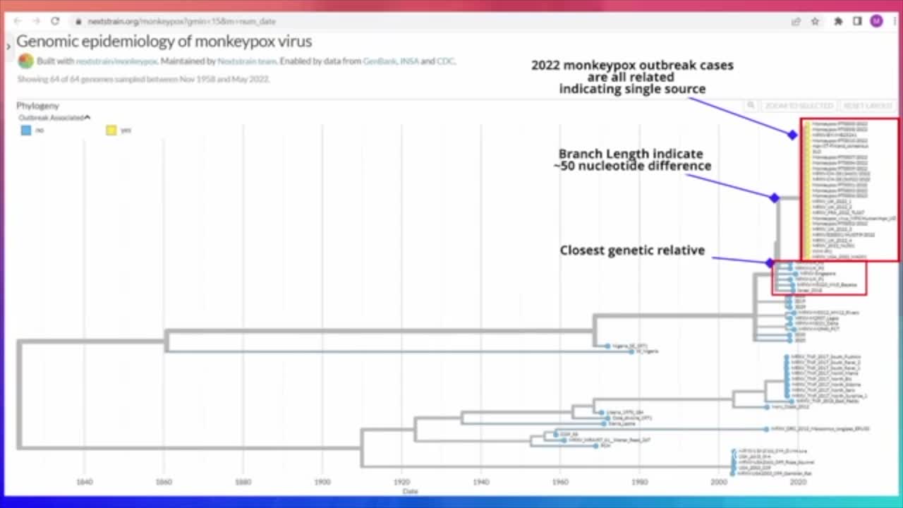 New Monkeypox Outbreak Has More Mutations "Than Would be Expected From Natural Mutagenesis"