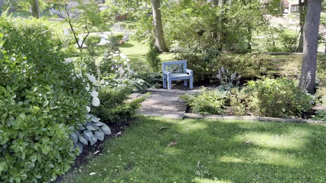 Hostas and Hydrangeas 17 June 22