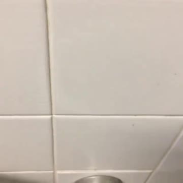 This is the BEST PLACE for it!!!!!!!!!!