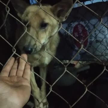 They are our friends