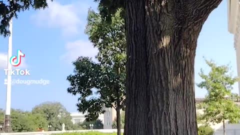 Supreme Court fence taken down