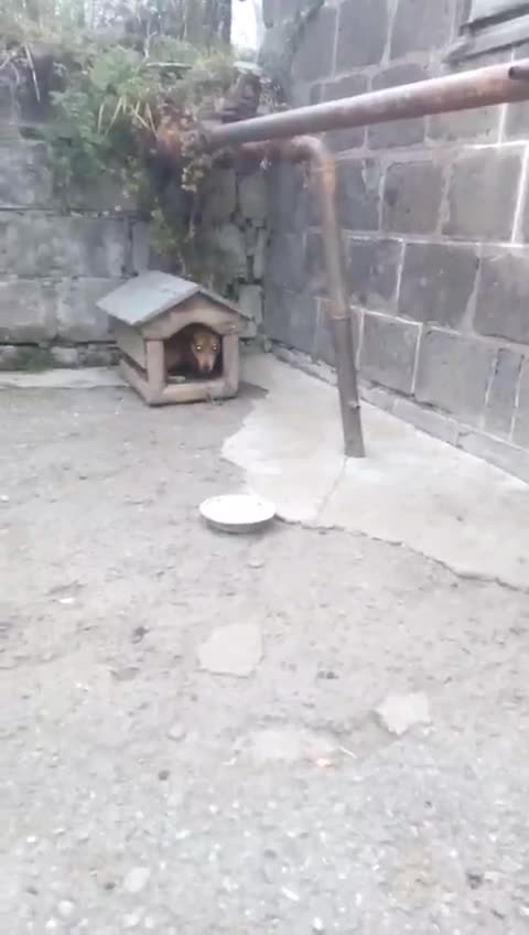 My roommate happily meets me