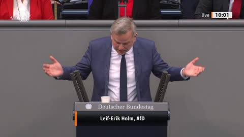 Leif-Erik Holm Rede vom 24.03.2022 - Wirtschaft und Klimaschutz