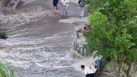 Nature’s Fury Meets Tranquil Beauty: A Park’s Tale”