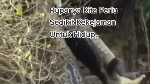 Mampu MEMPOSISIKAN diri,,,,,