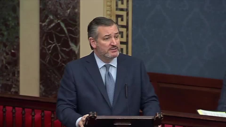 Ted Cruz speaks on the crime and crisis coming from illegal immigrants