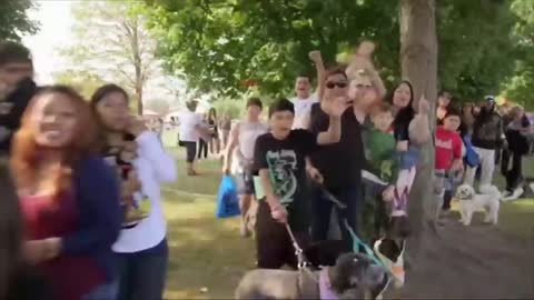 These Dogs Attack Everyone! (Dog Nation Shorts)