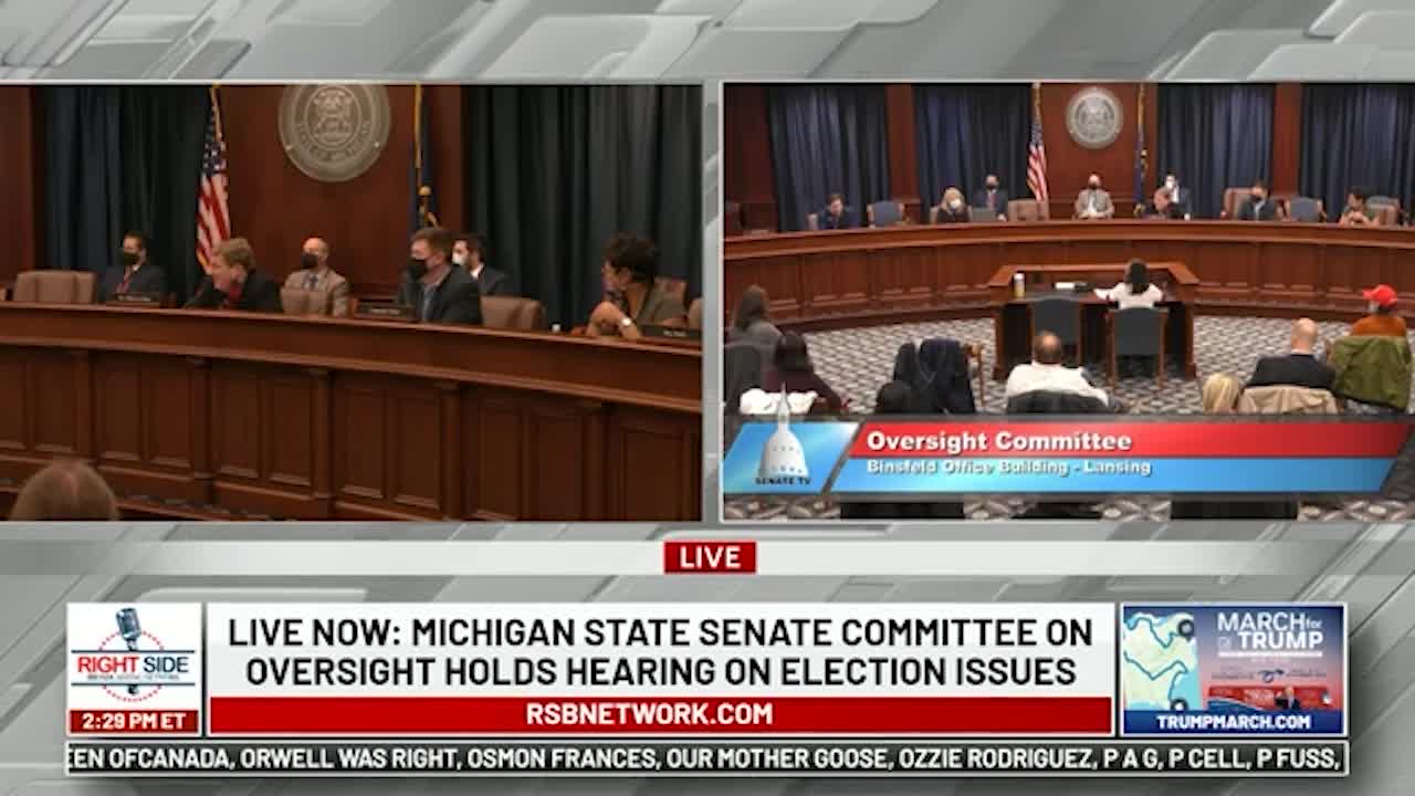 Witness #29 testifies at Michigan House Oversight Committee hearing on 2020 Election. Dec. 2, 2020.