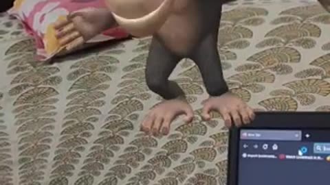 Virtual Monkey dance