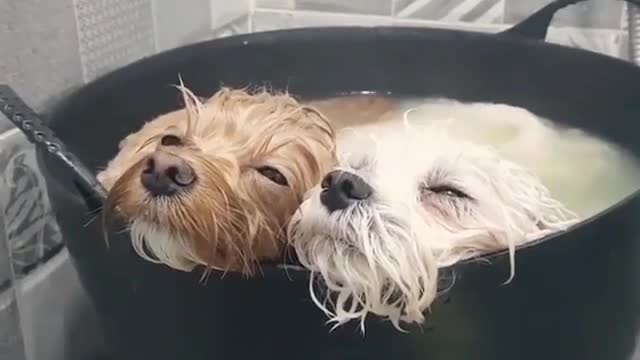 comfortable