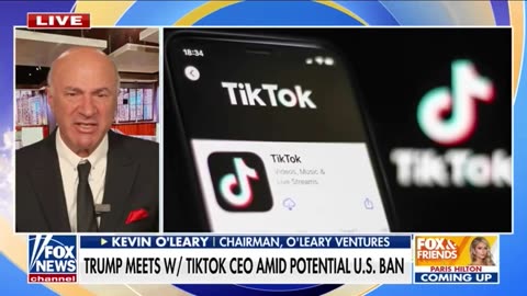 Shark Tank's Kevin O'Leary Floats Buying TikTok