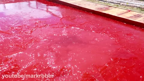 The largest jelly pool in the world. Can you swim in jelly?