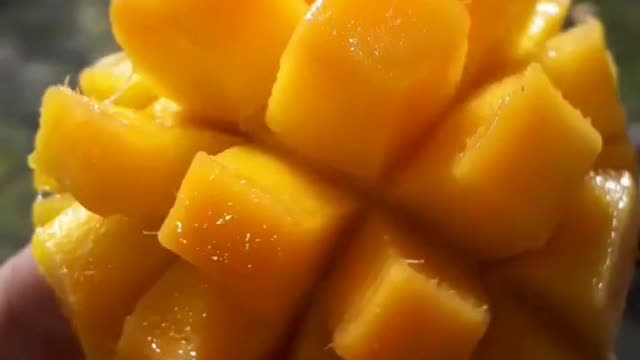 A Delicious Yellow Mango