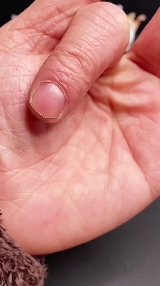 funny|prank|jokes|funny jokes|dad jokes|funny memes|funny video|fun|laughing|funny animal|knock