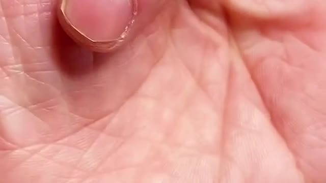 funny|prank|jokes|funny jokes|dad jokes|funny memes|funny video|fun|laughing|funny animal|knock