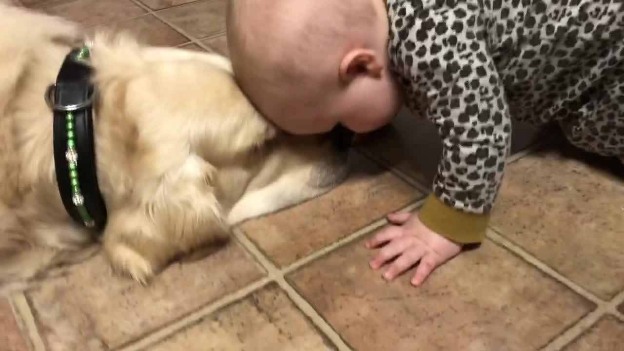 Baby loves her dog so much