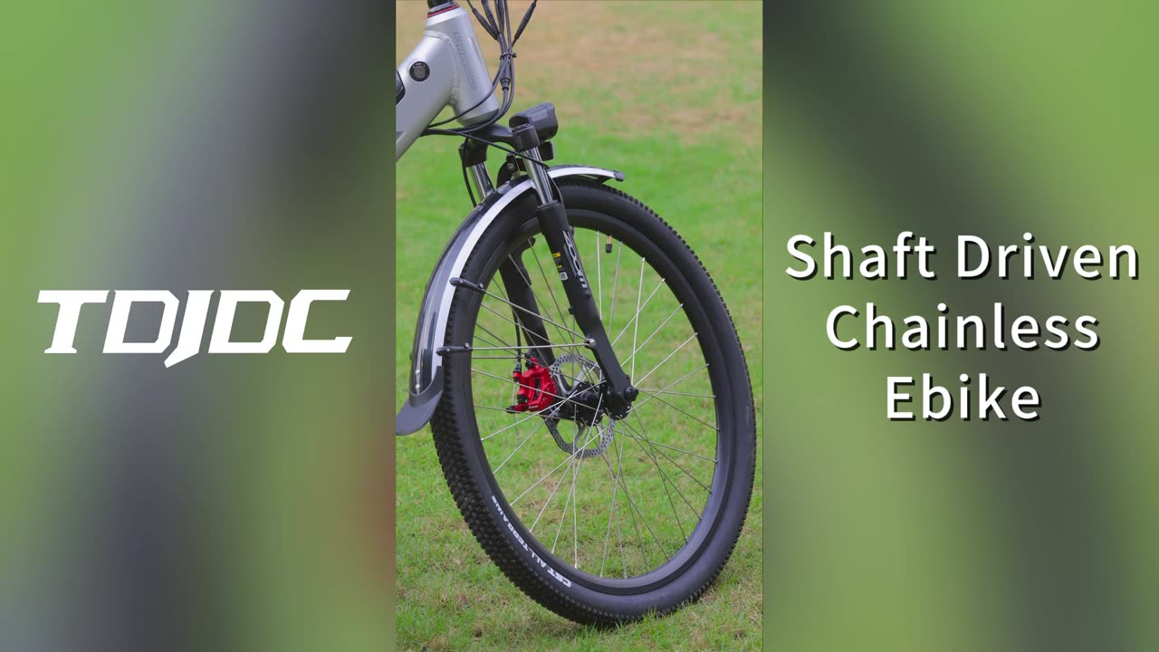 Cardan Driven Electric Bicycle Shaft Drive No Chain eBike