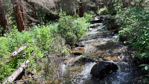 Grizzly Lake Trail