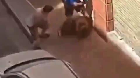 Illegal Alien Assaults Woman Receives Education