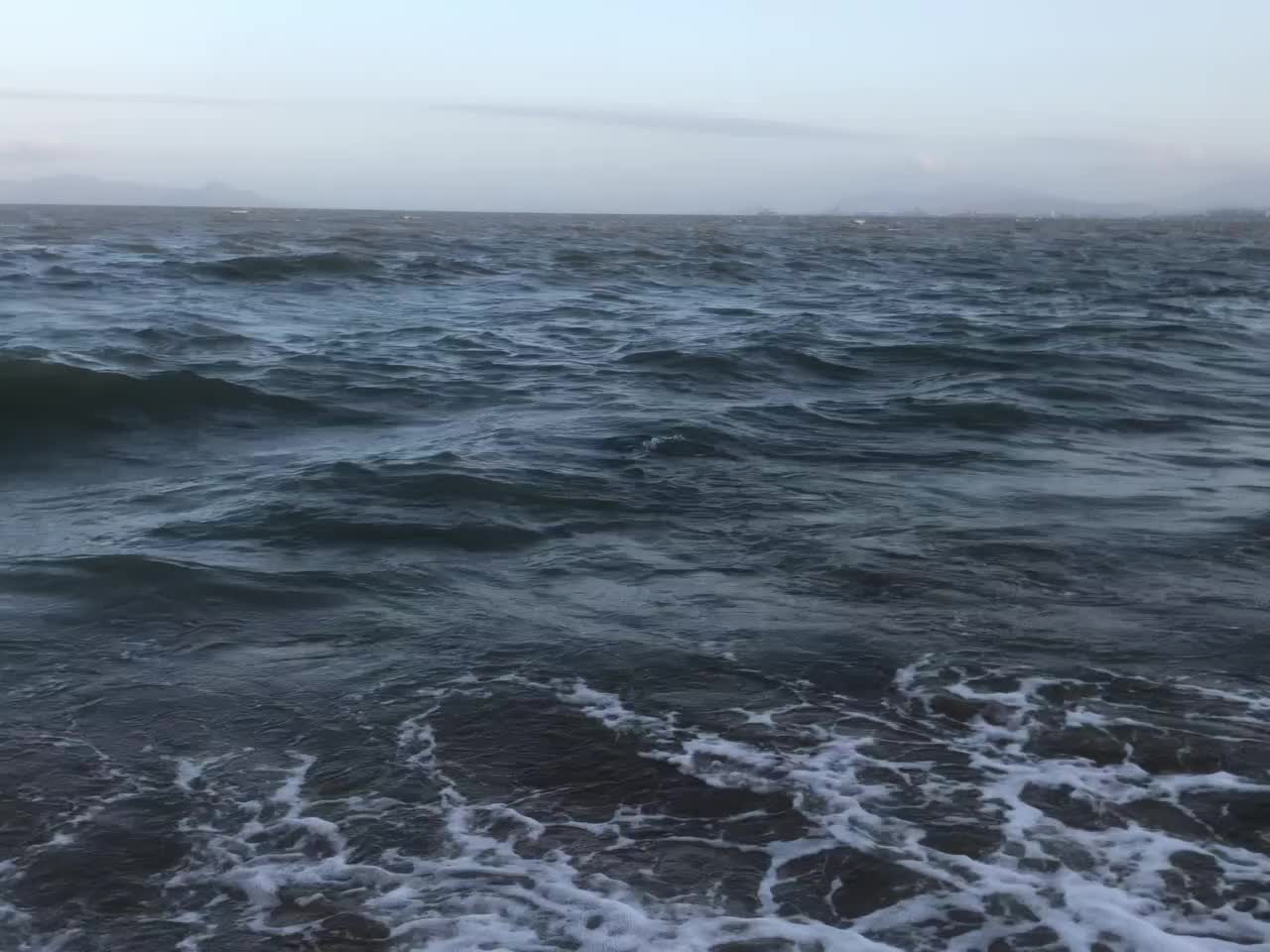 Huge Queensland Grouper Reeled in on Beach