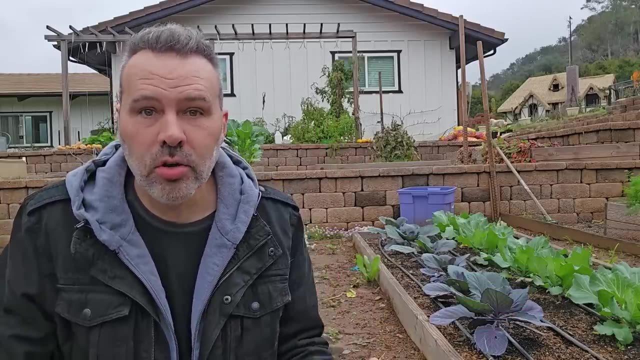 Now They Want Us to STOP BACKYARD GARDENING? What’s Next?