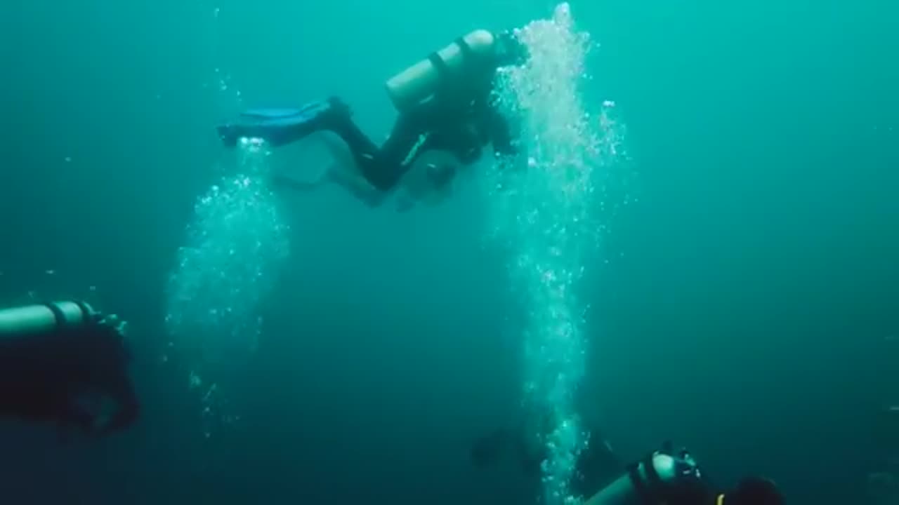 Navy Pulls Airplane From Sea, Then They Make An Astonishing Discovery!