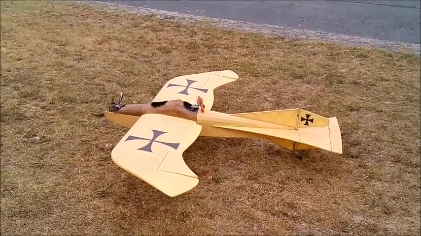 Taube 90 aerobatics