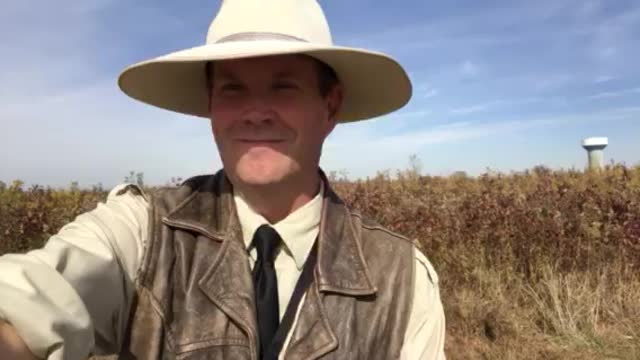 The Truth About Vanessa Wells