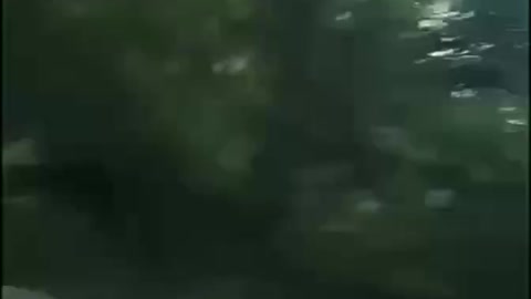 ΟΥΚΡΑΝΟΙ ΝΕΟΝΑΖΙ ΠΥΡΟΒΟΛΟΥΝ ΚΑΤΑ ΑΜΑΧΩΝ