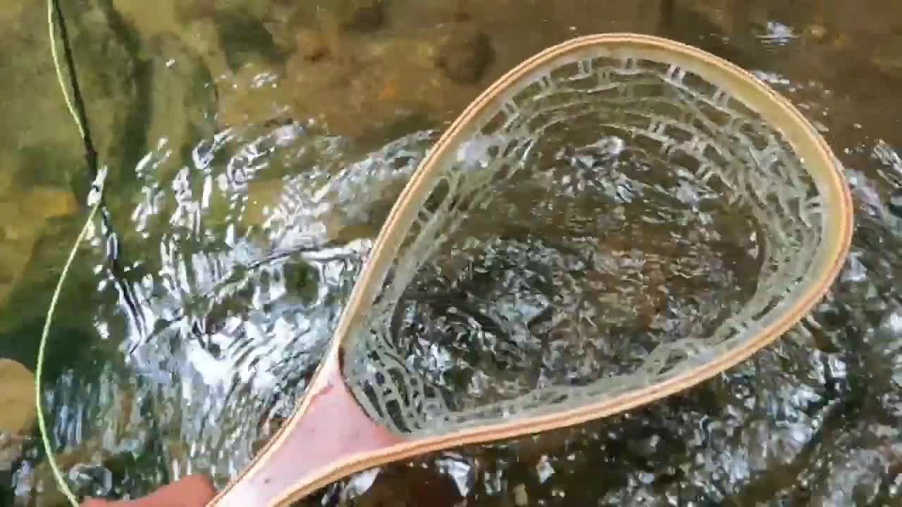 Stream fishing