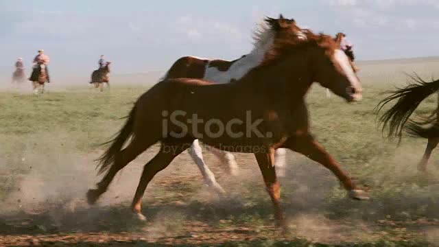 Slow motion horses and cowboys on a ranch in the desert of Utah,USA