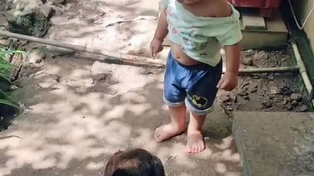 Boy Playing Catch Me If You Can With His Chicken Buddy