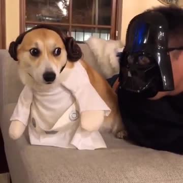 Lord Vader Star Wars