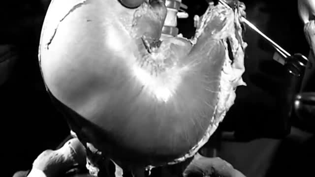 Oh, my God there's one thing this experiment has taught us: Don't be timid