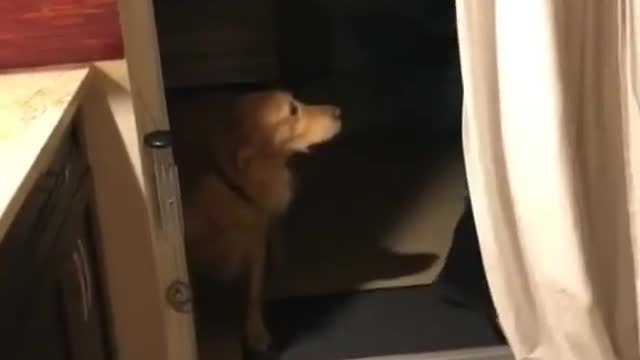 Some door problem