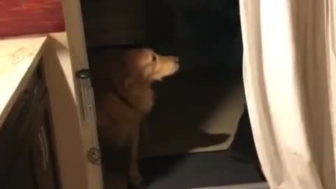 Some door problem