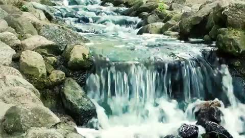 Relaxing Music | Sleeping, Meditation, Stress Relief | [284] ⭐️