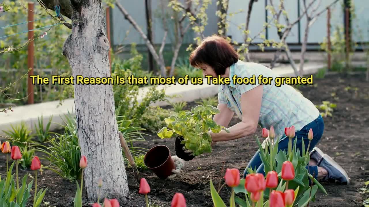 Backyard Gardening A Must Nowadays