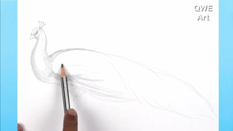 Outline Peacock Wing Feathers