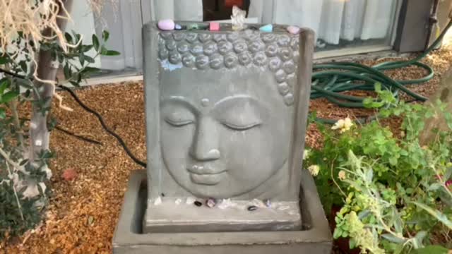 In the Garden of Believing