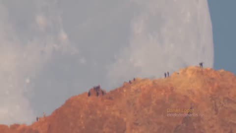 Moon Setting Behind Teide Volcano #hd