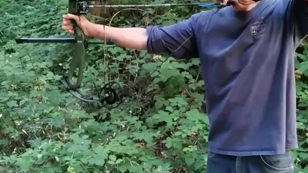 Arrow ambush #shorts #archery #outside #targetpractice #hunting