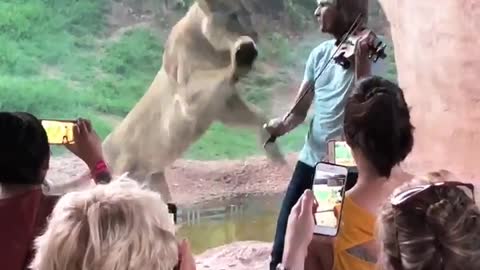 Lion Lunges for Violinist