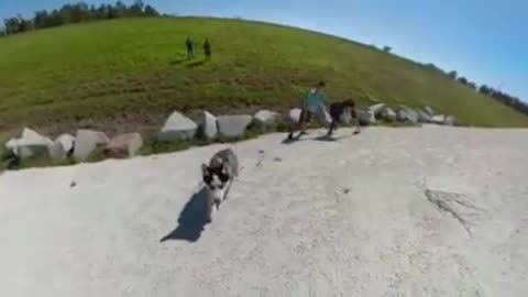 Several people were climbing the mountain with the puppy,