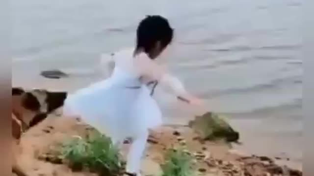 DOG SAVES YOUNG GIRL