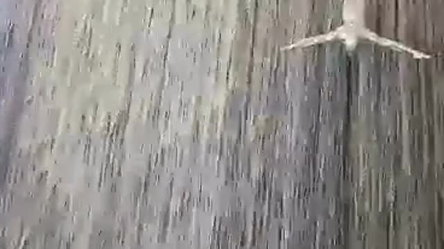 the Dubai Mall Waterfalls