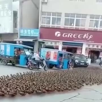 There is power in numbers!